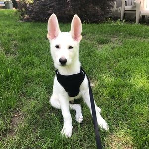 Meet your Posher, Kelli